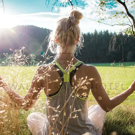 Waldstrand-hotel Hotel Großschönau