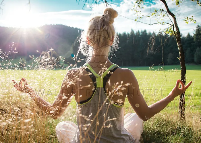 Waldstrand-hotel Hotel Großschönau