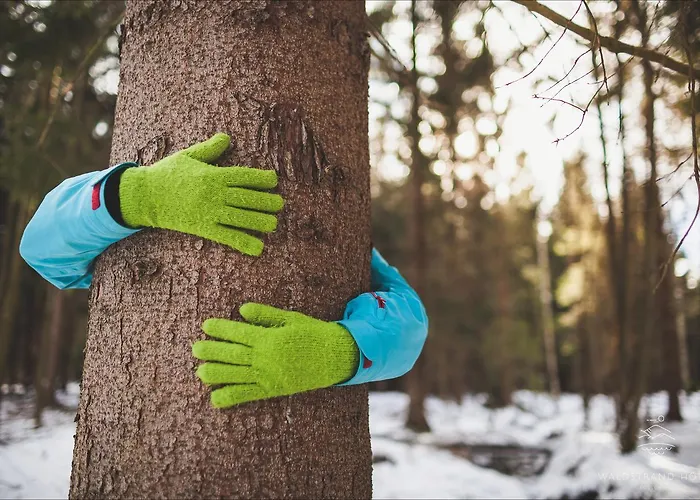 Hotel Waldstrand-hotel